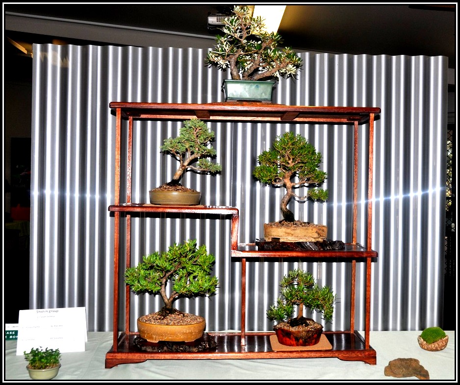 shohin